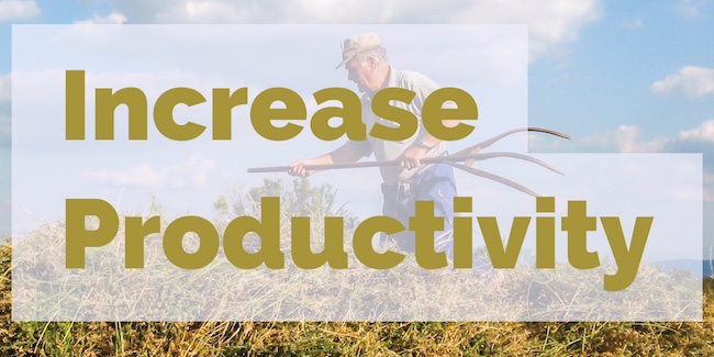 Increase Productivity and Free Up Time