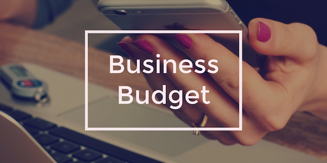 Business Budget
