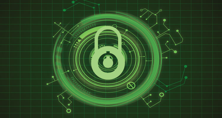 web security