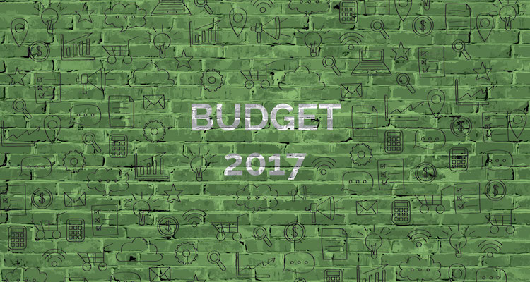 2017 Budget